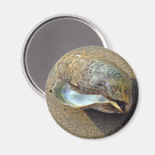 Mussel Seashell Sand Beach Magnet (Voorkant / Achterkant)