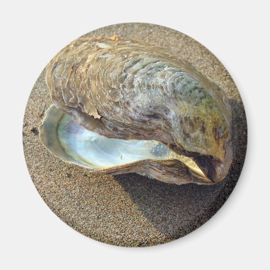 Mussel Seashell Sand Beach Magnet (Voorkant)