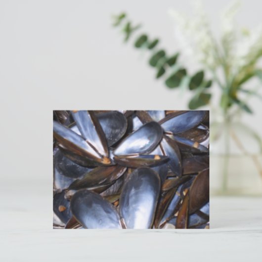Mussel Shells Briefkaart (Staand voorkant)