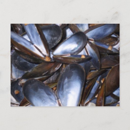 Mussel Shells Briefkaart (Voorkant)