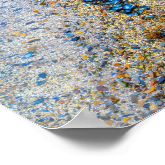 Mussel Shells in Maine Poster (Hoek)