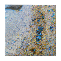 Mussel Shells in Maine