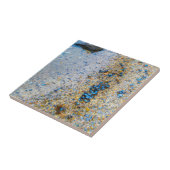 Mussel Shells in Maine Tegeltje (Zijkant)