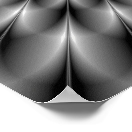 Mussel Shells Poster (Hoek)