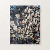 Mussels and gooseneck barnacles - Tofino, BC. Legpuzzel (Verticaal)