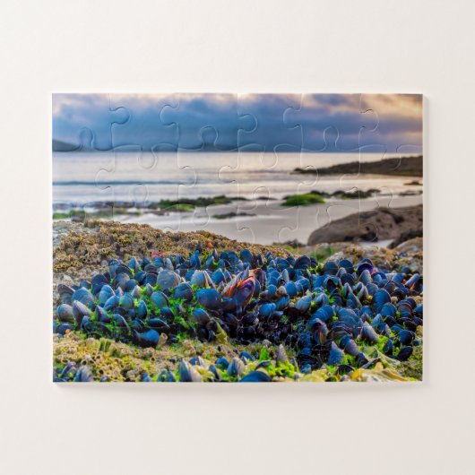 Mussels Legpuzzel (Horizontaal)