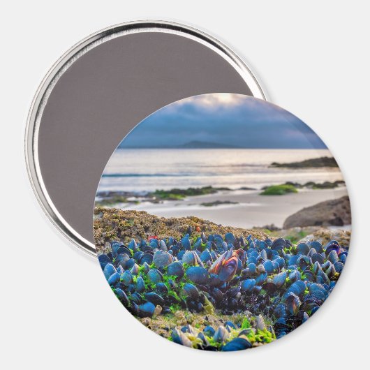 Mussels Magneet (Voorkant / Achterkant)