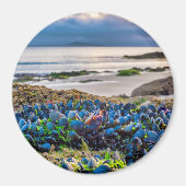 Mussels Magneet (Voorkant)