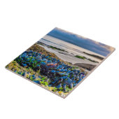 Mussels Tegeltje (Zijkant)