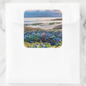 Mussels Vierkante Sticker (Tas)