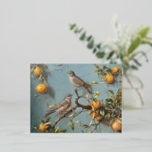 Mussen - Folie Briefkaarten (Staand Voorkant)