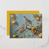 Mussen - Folie Briefkaarten (Voorkant / Achterkant)