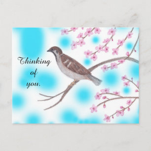 Mussen in Cherry Blossom Tree Sky Briefkaarten