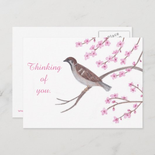 Mussen in Cherry Blossom Tree Thinking Briefkaarte Briefkaart (Voorkant / Achterkant)