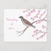 Mussen in Cherry Blossom Tree Thinking Briefkaarte Briefkaart (Voorkant)