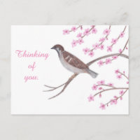 Mussen in Cherry Blossom Tree Thinking Briefkaarte