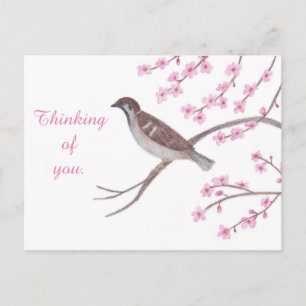 Mussen in Cherry Blossom Tree Thinking Briefkaarte Briefkaart