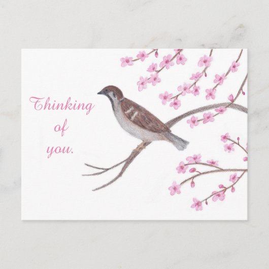 Mussen in Cherry Blossom Tree Thinking Briefkaarte Briefkaart (Voorkant)