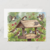 Mussen met vogelvoeder Briefkaart (Voorkant / Achterkant)