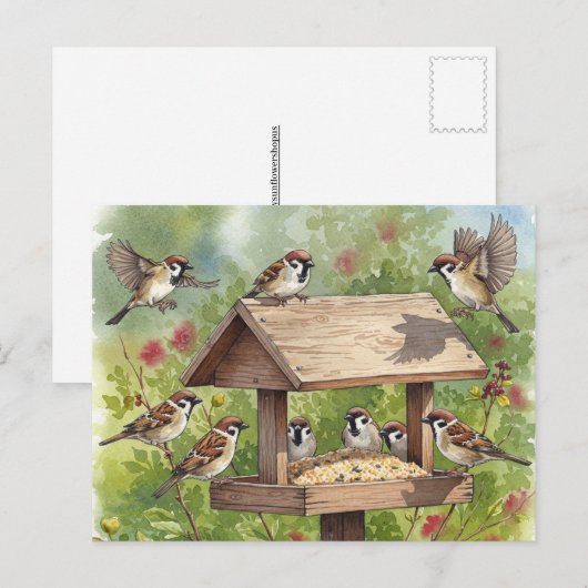 Mussen met vogelvoeder Briefkaart (Voorkant / Achterkant)