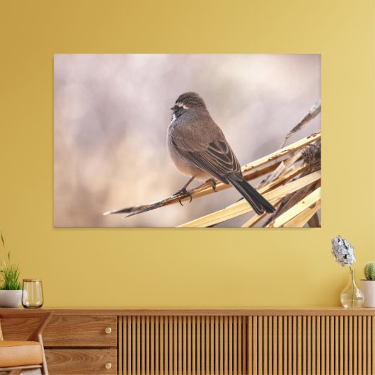 Mussen op een dunne tak canvas afdruk (Insitu (Woonkamer))