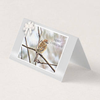 Mussen op een tak - Vrolijk kerstfeest Kaart
