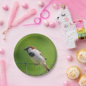 Mussen Papier Bord (Feest)