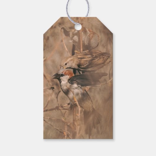 Mussen Vogels Grappige Vogelspotter Pensioenfeestj Cadeaulabel (Voorkant)