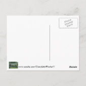 Mussen Vogels op een Rail Uw Woorden Briefkaarten (Achterkant)