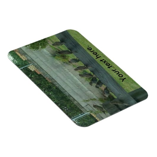 Mussen Vogels Zittend op een Rail Magneten (Rechterzijde)