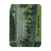 Mussen Vogels Zittend op een Rail Magneten (Verticaal)