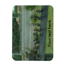 Mussen Vogels Zittend op een Rail Magneten