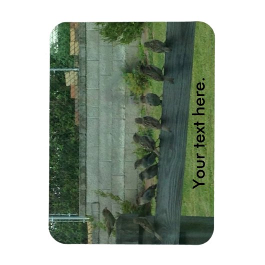 Mussen Vogels Zittend op een Rail Magneten (Verticaal)