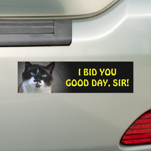 Mustache Cat biedt u een goede dag, meneer Bumpersticker (Op auto)