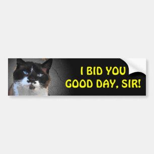 Mustache Cat biedt u een goede dag, meneer Bumpersticker
