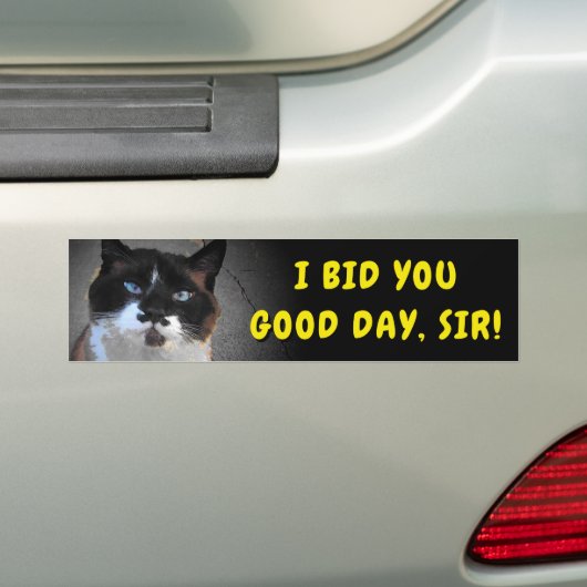 Mustache Cat biedt u een goede dag, Sir Meme Bumpersticker (Op auto)