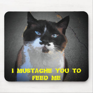 MUSTACHE CAT IS HONGARIJE "Feed me"-thema Muismat