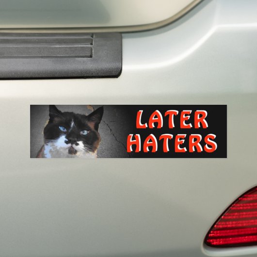 Mustache Cat Meme zegt later over haar Bumpersticker (Op auto)