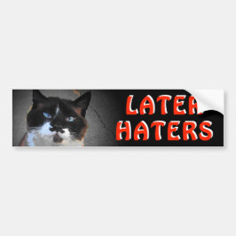 Mustache Cat Meme zegt later over haar Bumpersticker