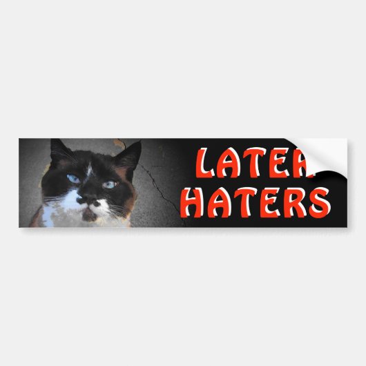 Mustache Cat Meme zegt later over haar Bumpersticker (Voorkant)