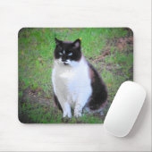 MUSTACHE CAT WATCHERT MUISMAT (Met muis)