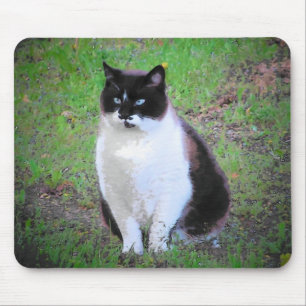 MUSTACHE CAT WATCHERT MUISMAT