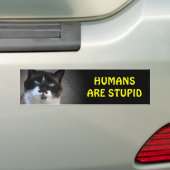 Mustache Cat zegt dat mensen stuitend zijn Bumpersticker (Op auto)