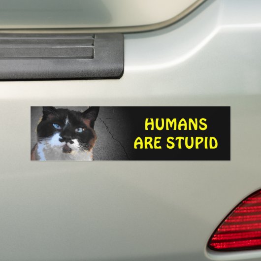 Mustache Cat zegt dat mensen stuitend zijn Bumpersticker (Op auto)