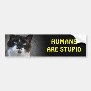 Mustache Cat zegt dat mensen stuitend zijn Bumpersticker