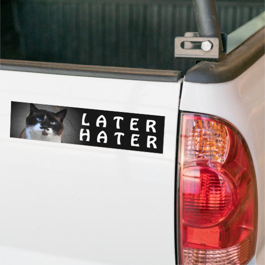 Mustache Cat zegt later Hater Bumpersticker (Op Truck)