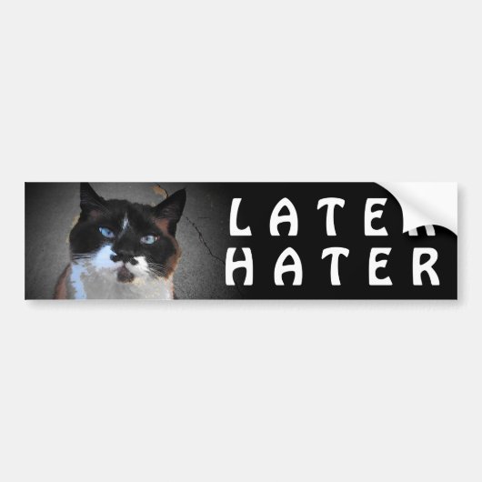 Mustache Cat zegt later Hater Bumpersticker (Voorkant)