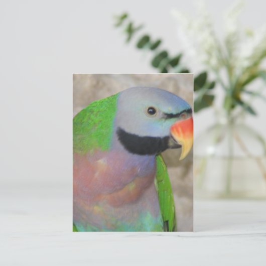 Mustached Parakeet Briefkaart (Staand voorkant)