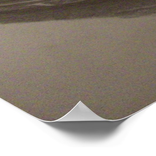 Mustang 2 poster (Hoek)