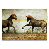 Mustang Battle (Voorkant Horizontaal)